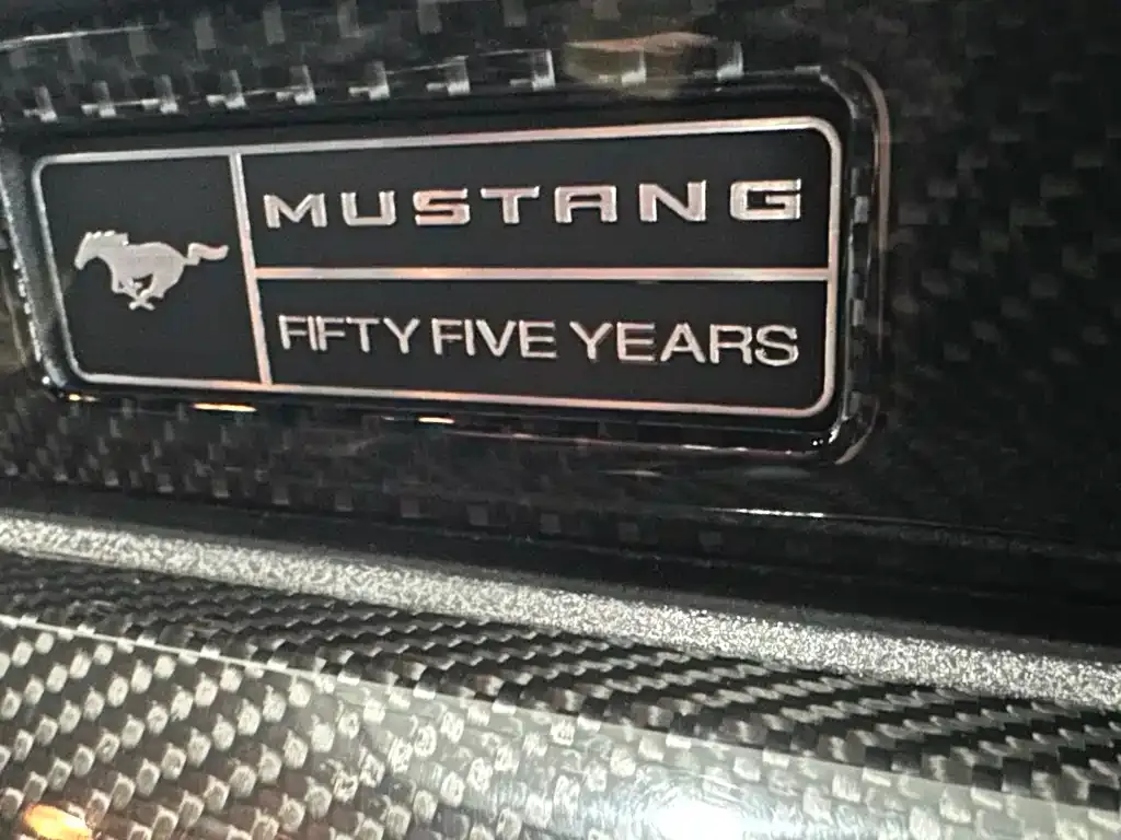 Ford Mustang — фото 5