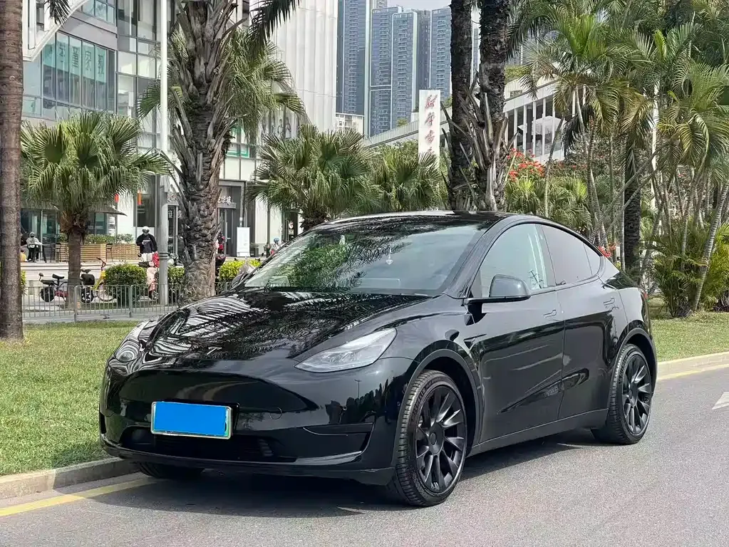 Tesla Model Y — фото 1