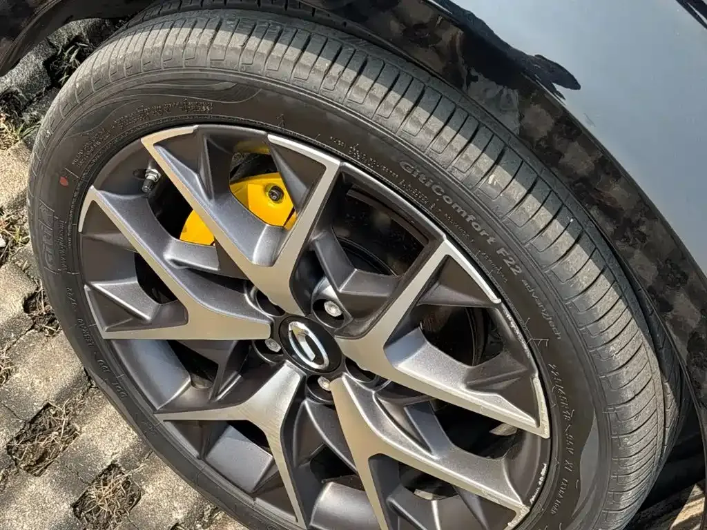 GAC Motor Shadow Leopard — фото 8