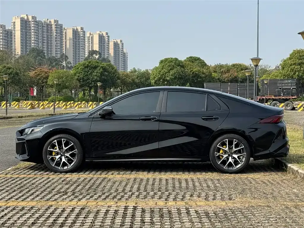 GAC Motor Shadow Leopard — фото 6