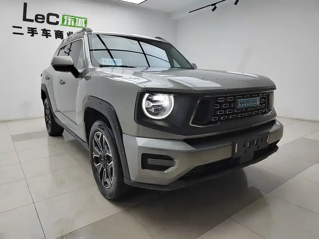 Haval H7 (Big Dog Plus) New Energy — фото 3