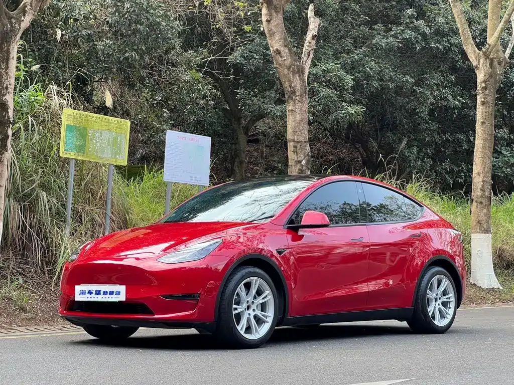 Tesla Model Y — фото 1