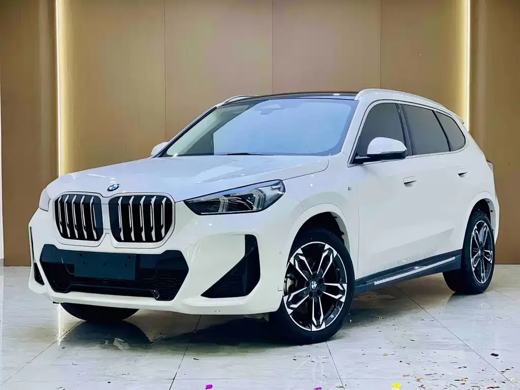 BMW X1 — фото 1