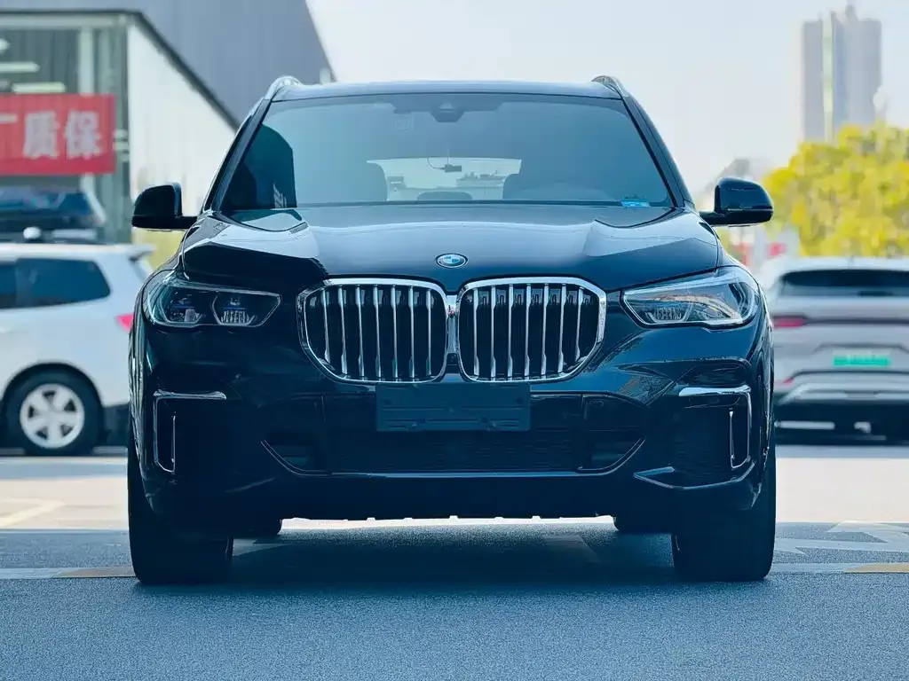 BMW X5 — фото 9