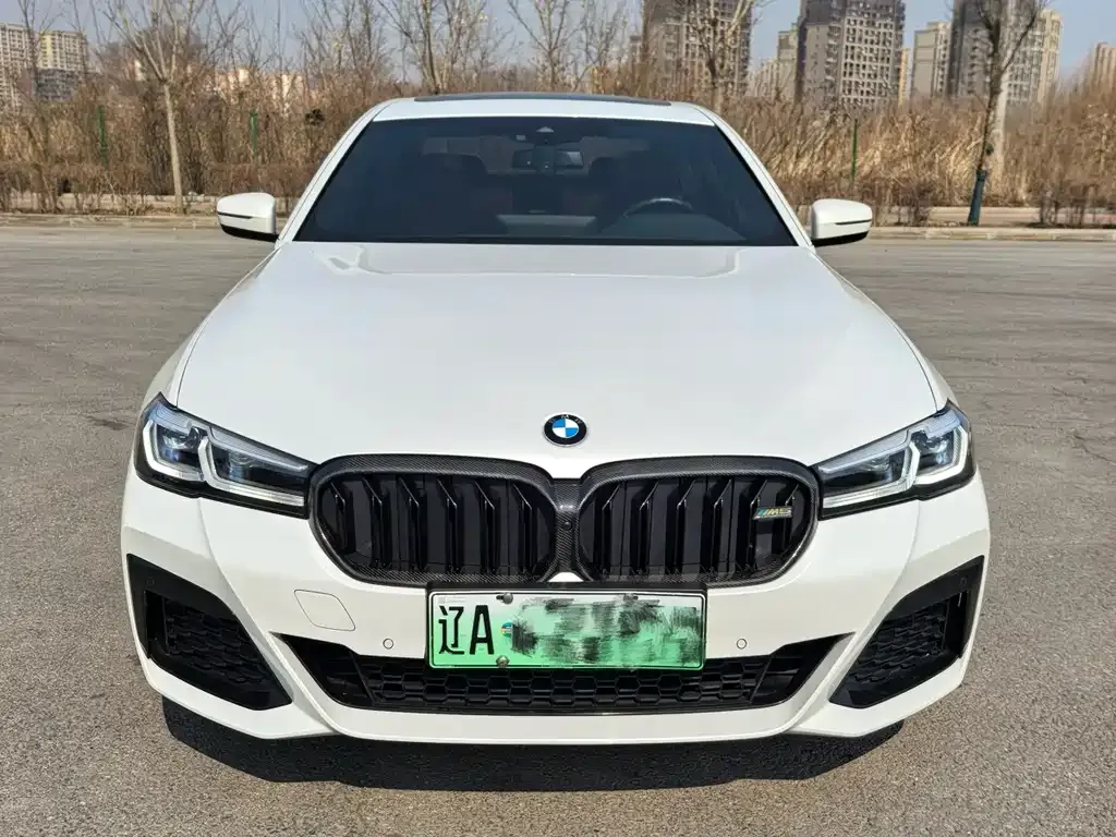 BMW 5 Series New Energy — фото 3