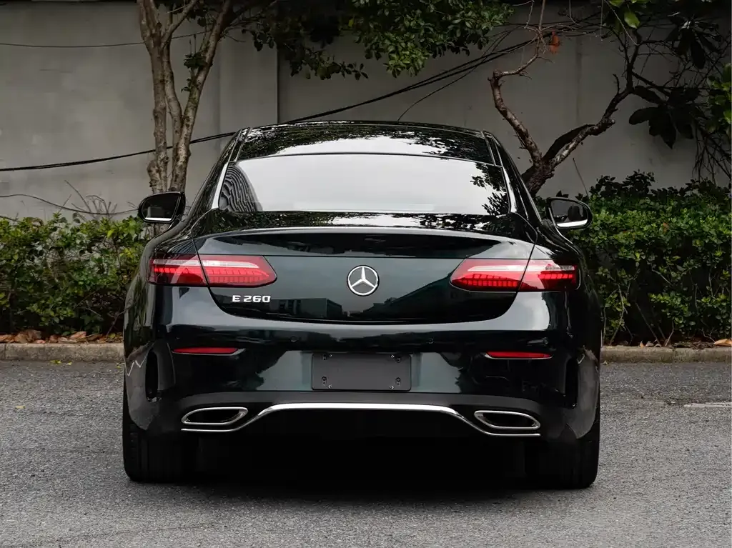 Mercedes-Benz E-Class (Import) — фото 10