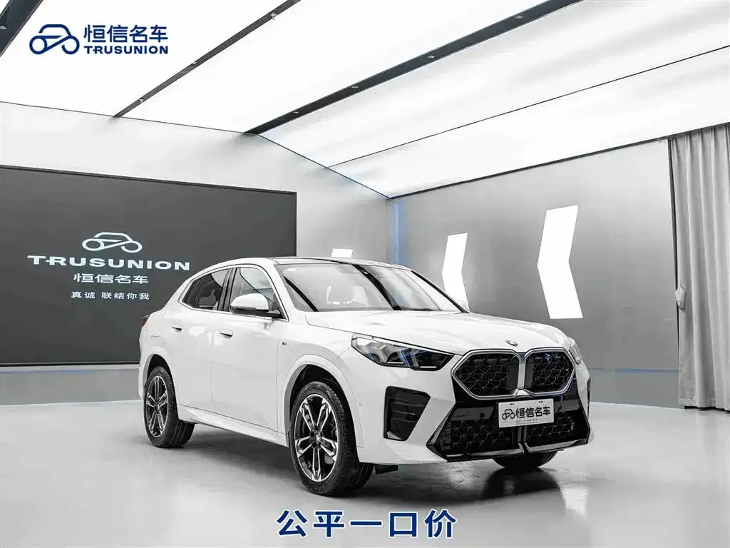 BMW X2 (Import) — фото 1