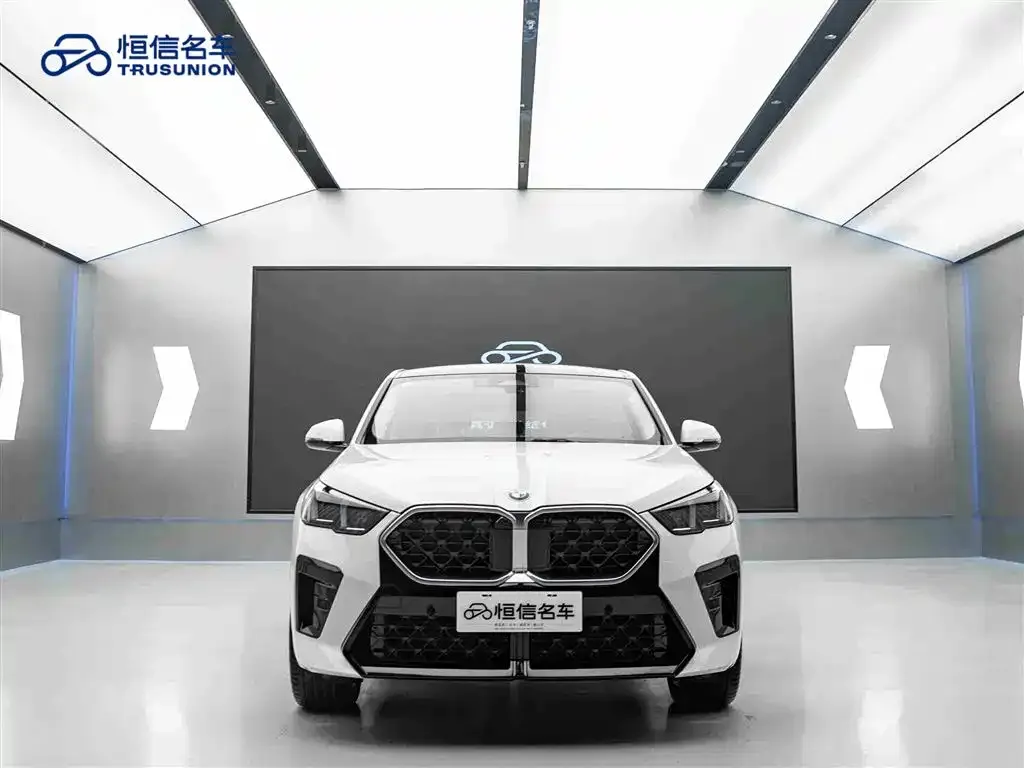 BMW X2 (Import) — фото 9