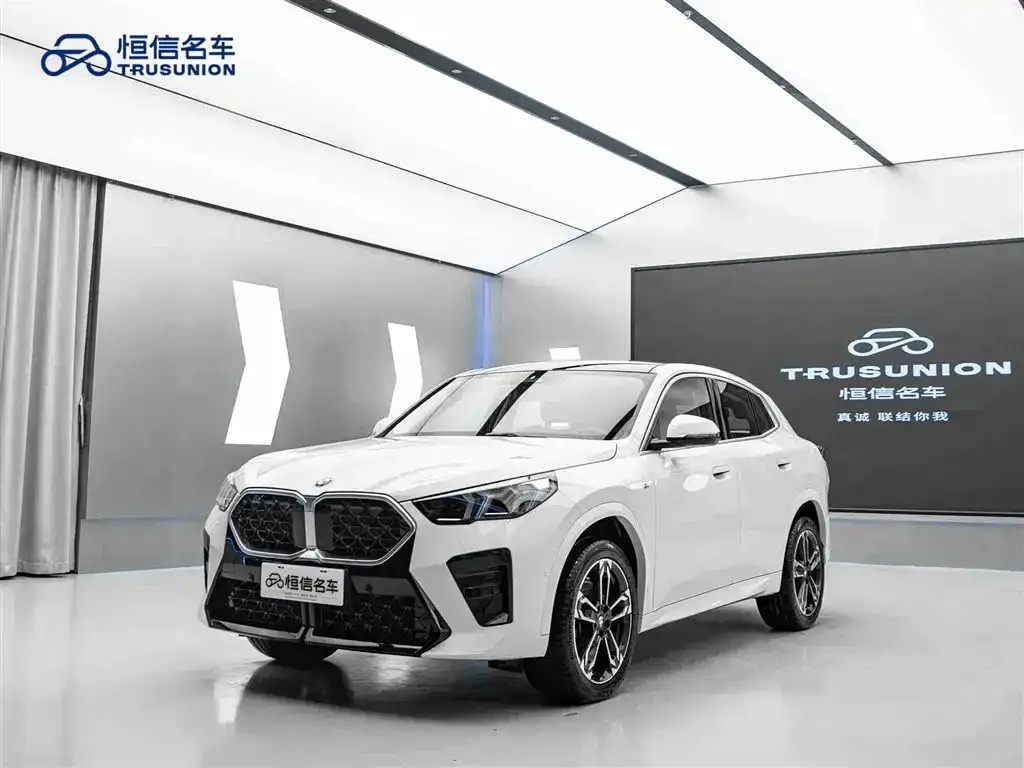 BMW X2 (Import) — фото 8