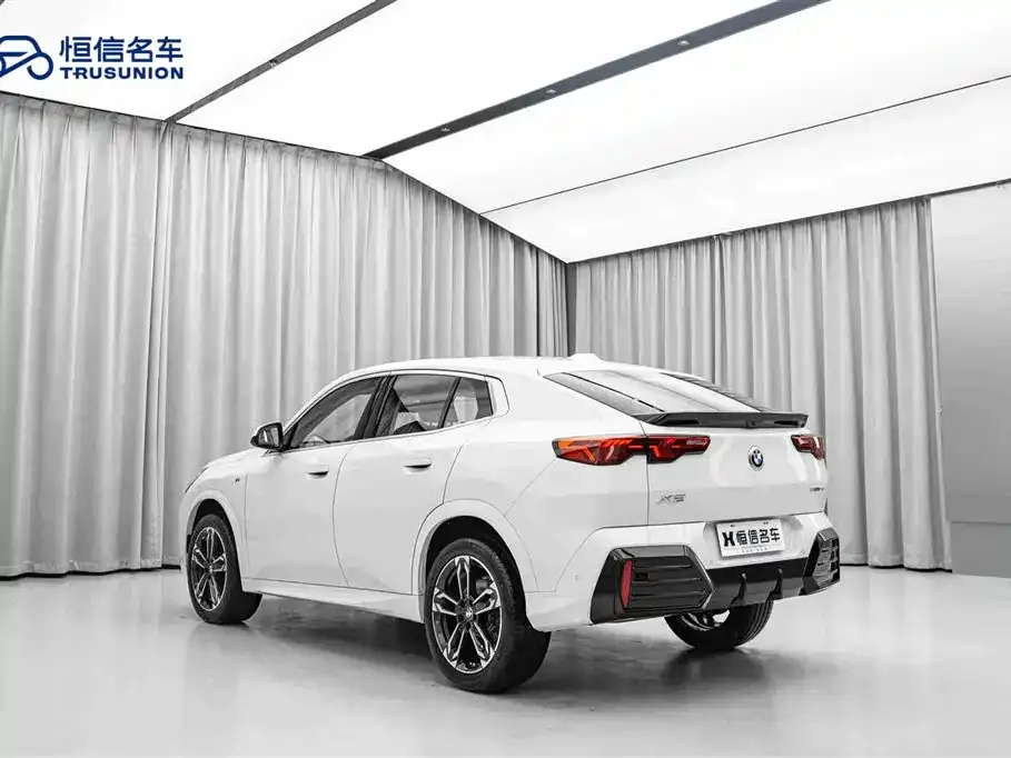 BMW X2 (Import) — фото 10
