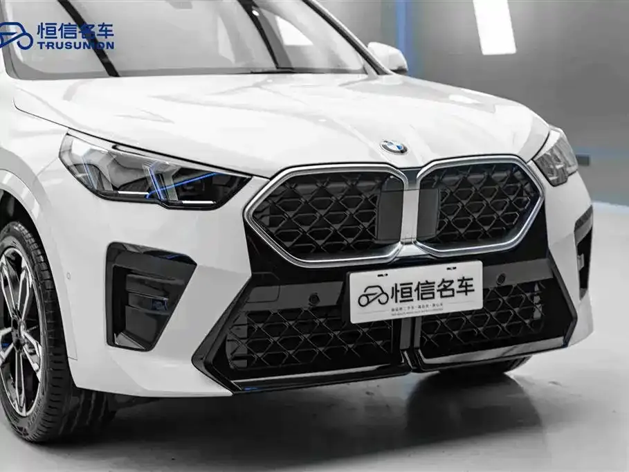 BMW X2 (Import) — фото 4