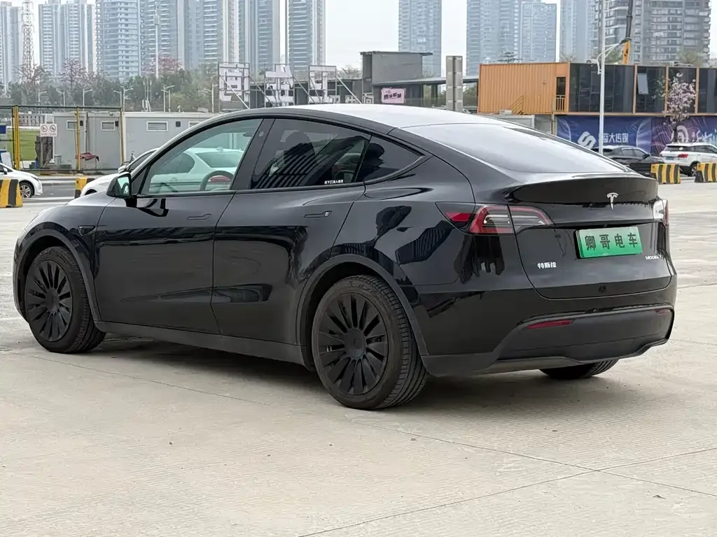 Tesla Model Y — фото 2