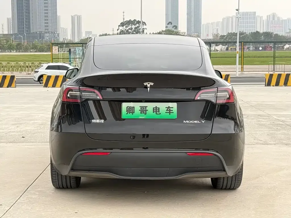 Tesla Model Y — фото 3