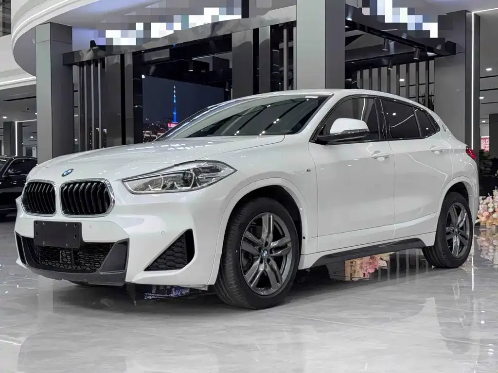 BMW X2 — фото 1