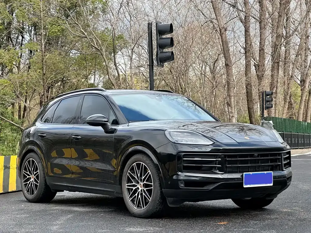 Porsche Cayenne — фото 10