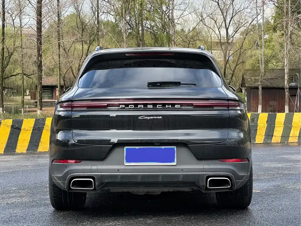 Porsche Cayenne — фото 9