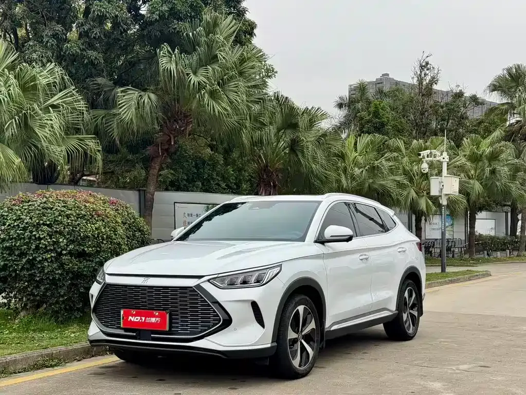 BYD PLUS New Energy — фото 1