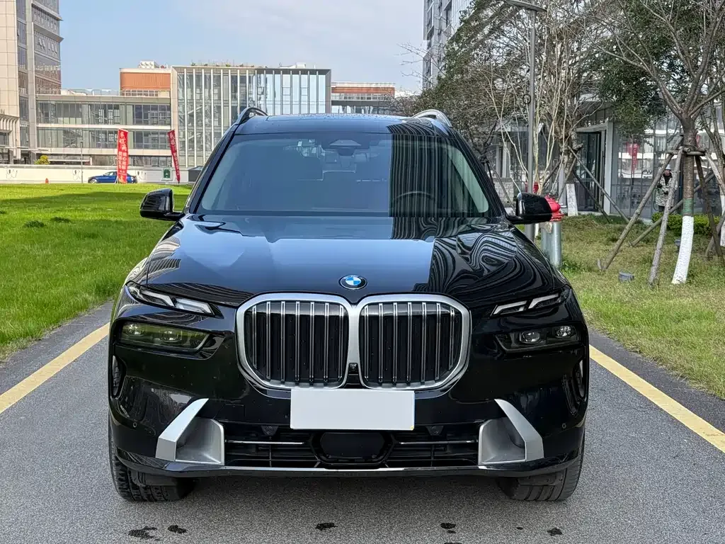 BMW X7 — фото 6