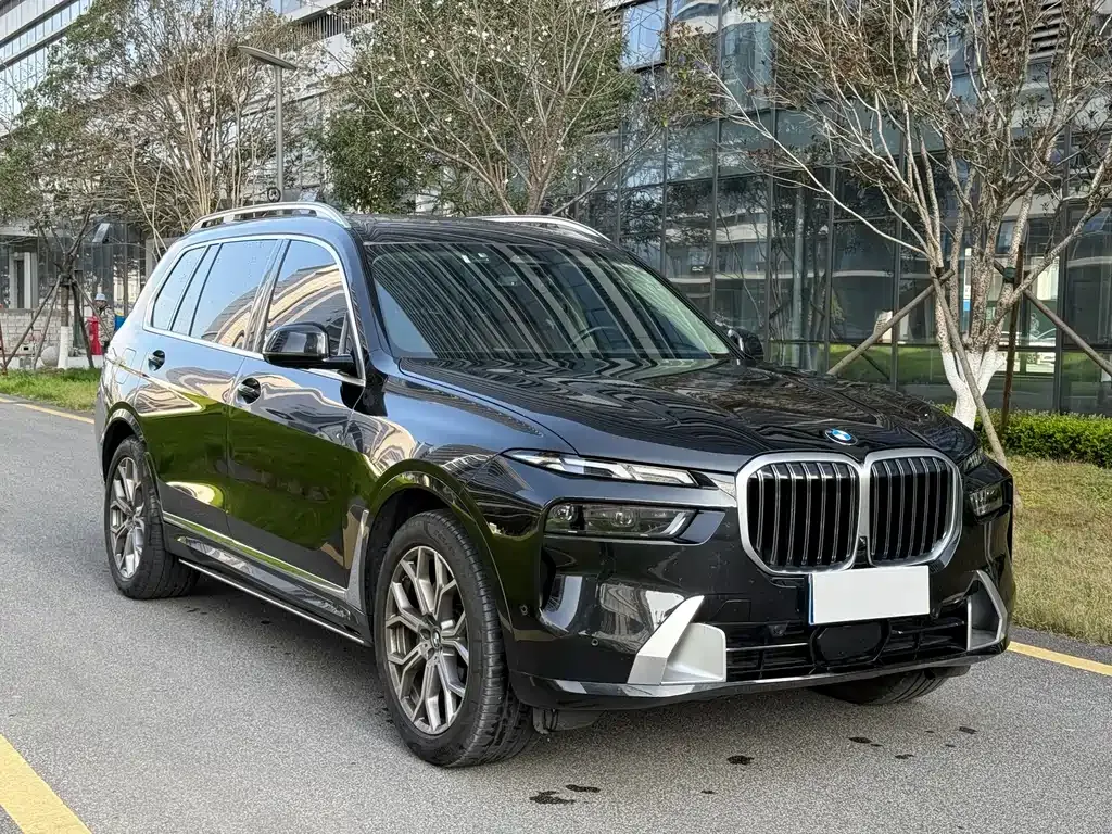 BMW X7 — фото 10