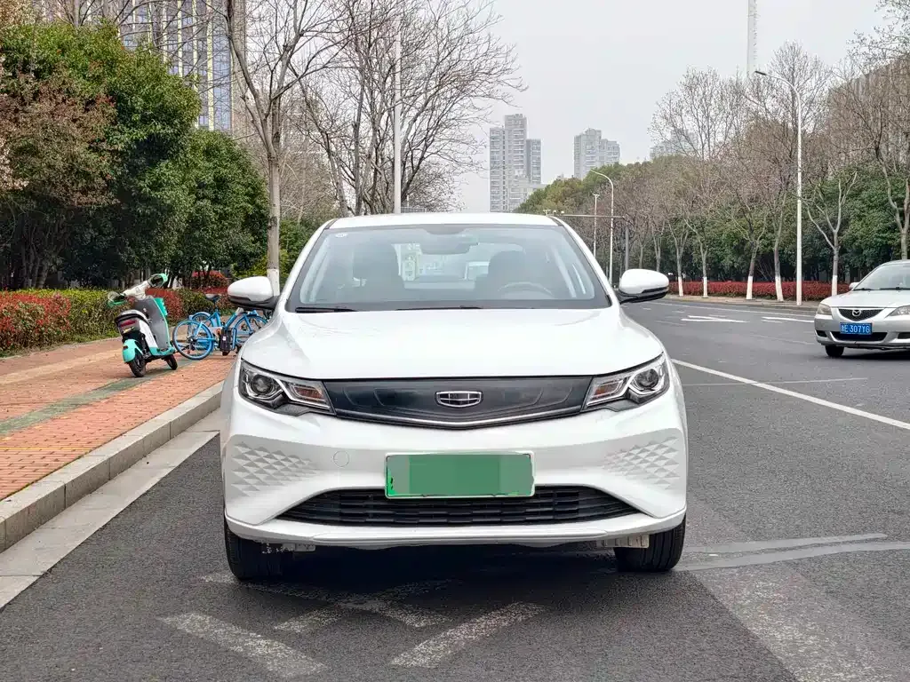 Geely New Energy — фото 1