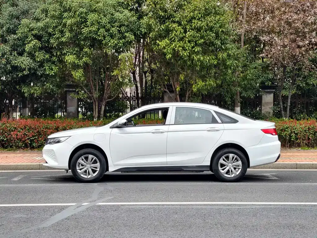 Geely New Energy — фото 2
