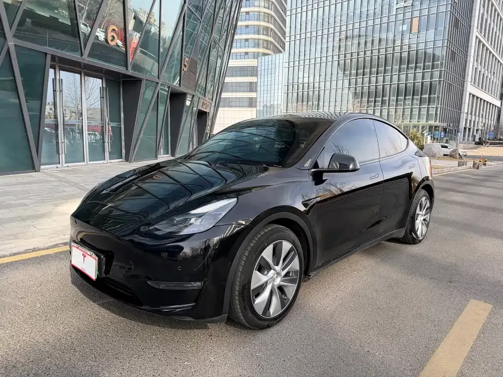 Tesla Model Y — фото 1