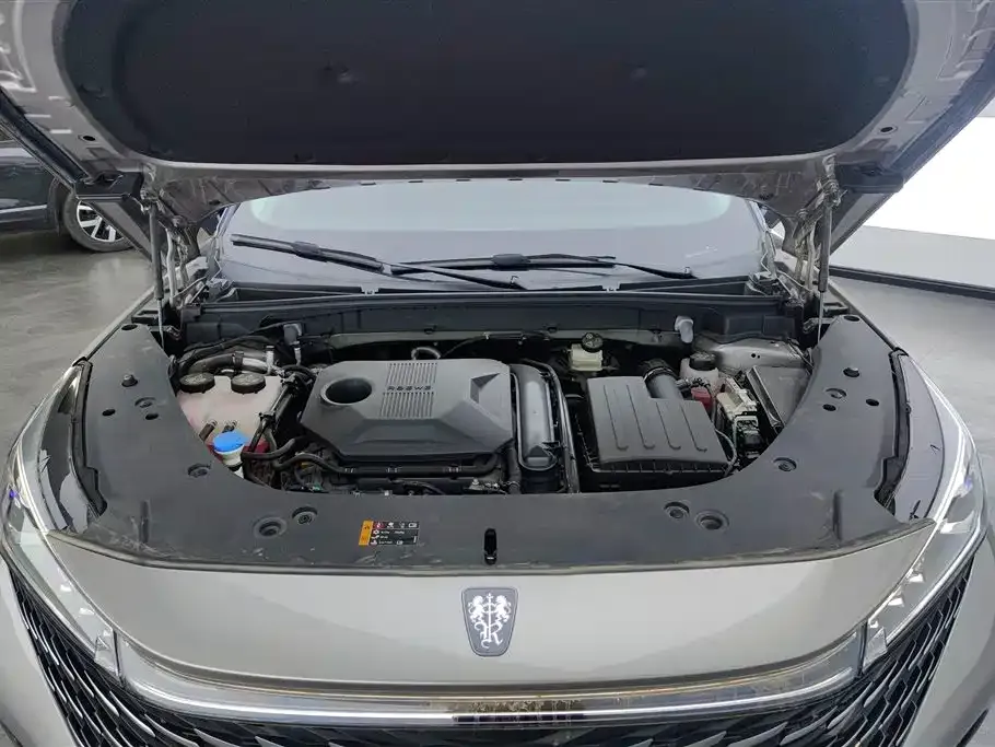 Roewe RX5 New Energy — фото 10
