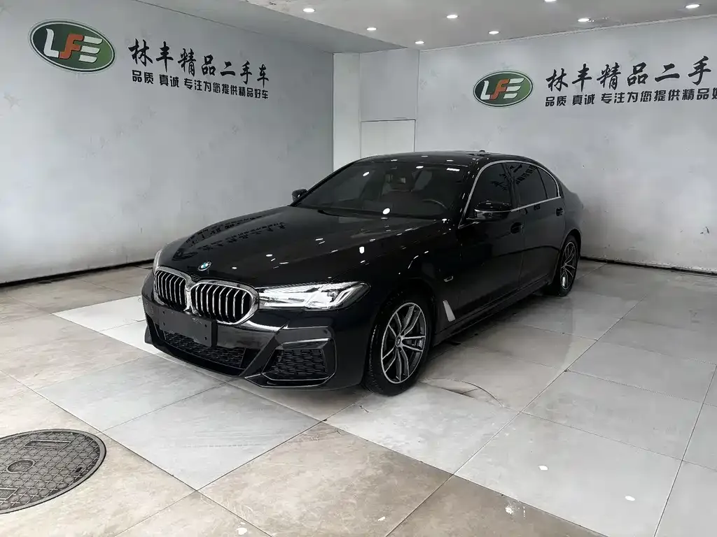 BMW 5 Series New Energy — фото 1