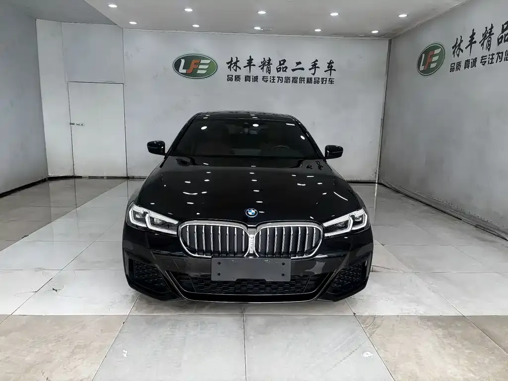 BMW 5 Series New Energy — фото 8