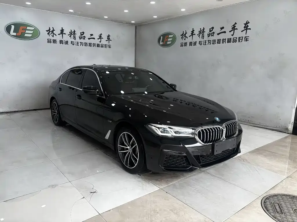 BMW 5 Series New Energy — фото 6