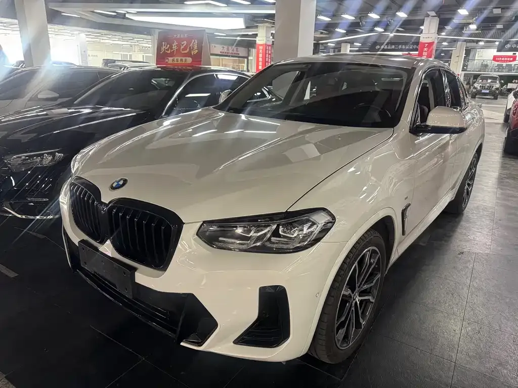 BMW X4 — фото 1