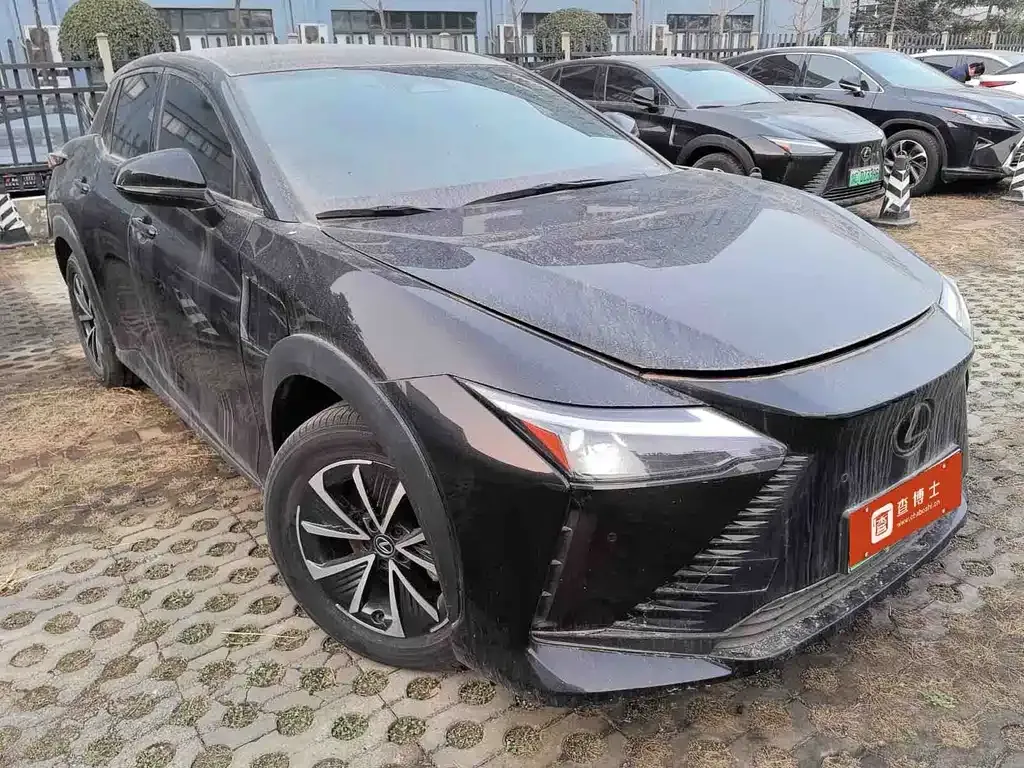 Lexus RZ — фото 7