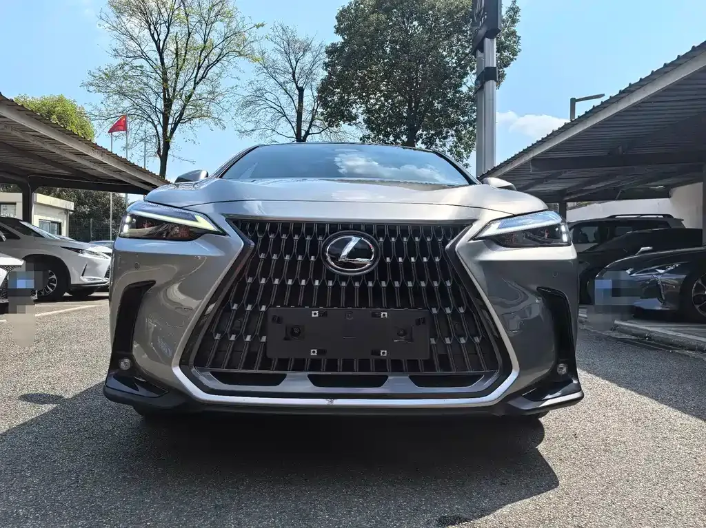 Lexus NX New Energy — фото 1