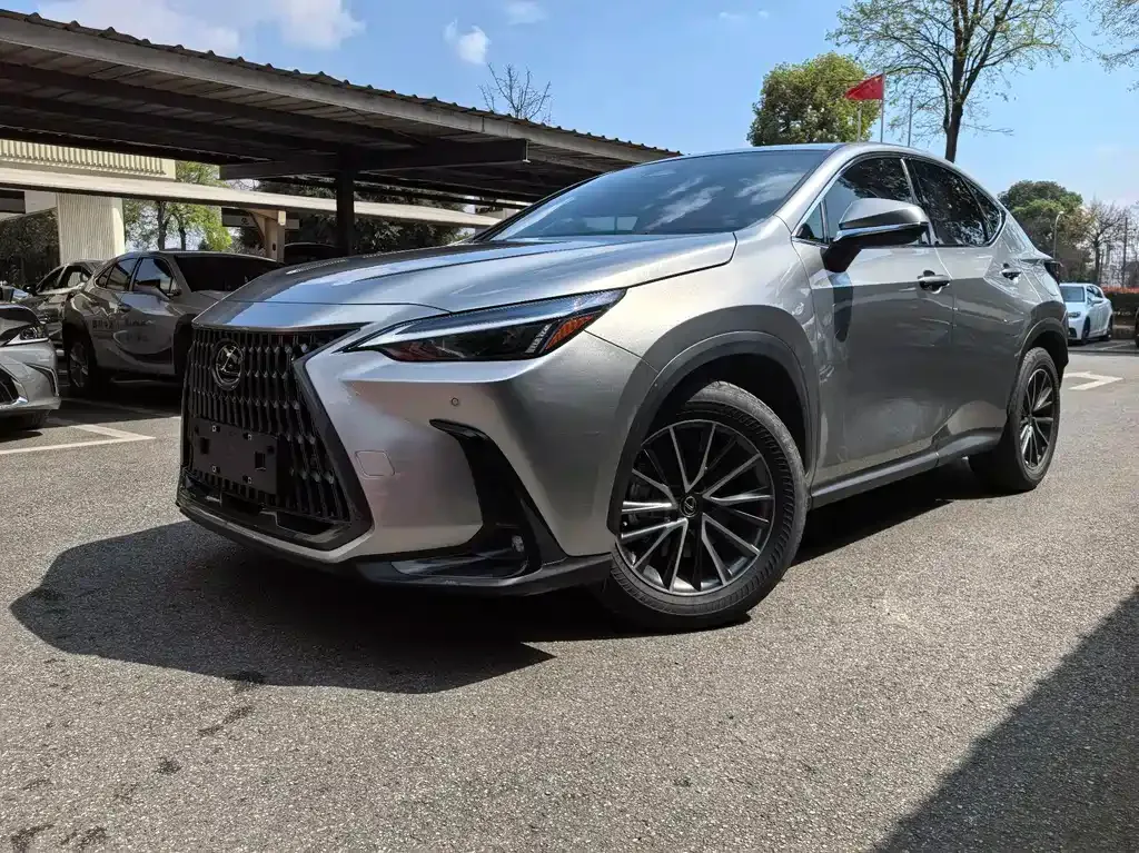 Lexus NX New Energy — фото 6