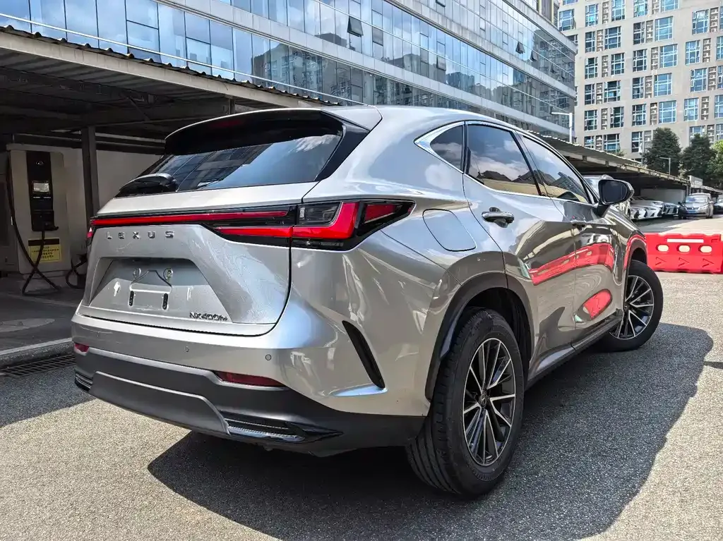 Lexus NX New Energy — фото 4