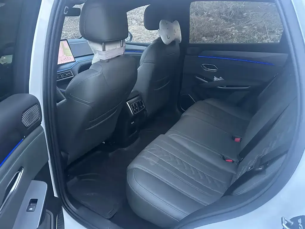 BYD L DM-i — фото 2