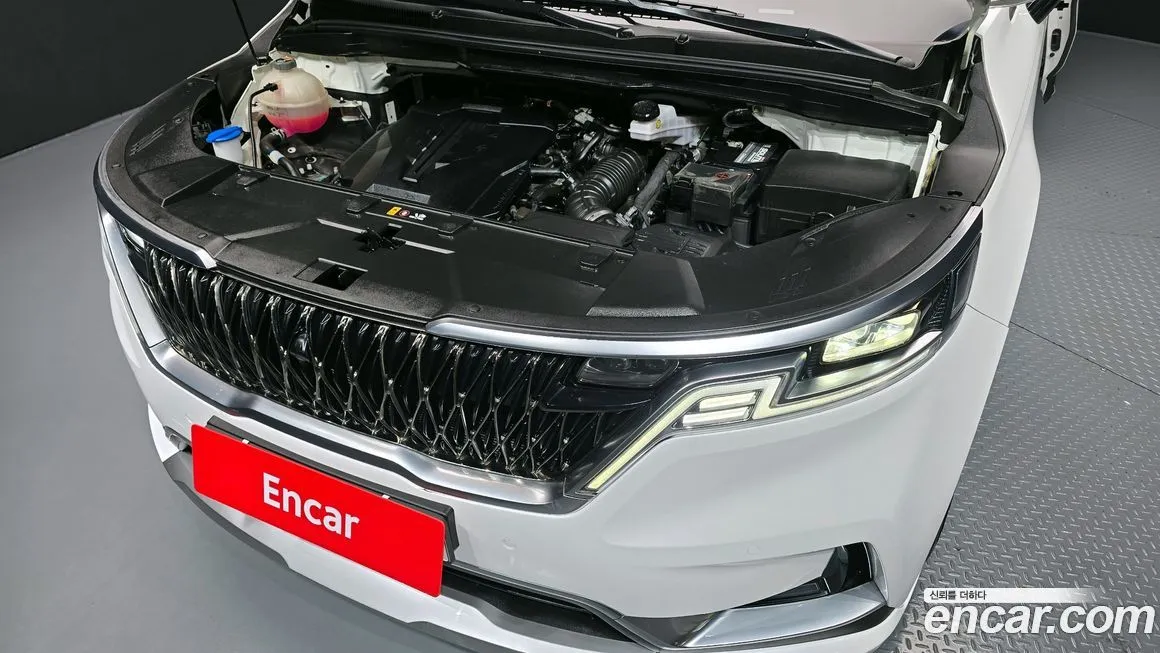 Kia Carnival — фото 10