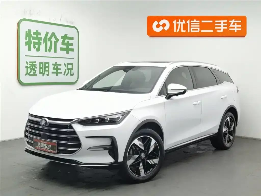 BYD Tang New Energy — фото 1