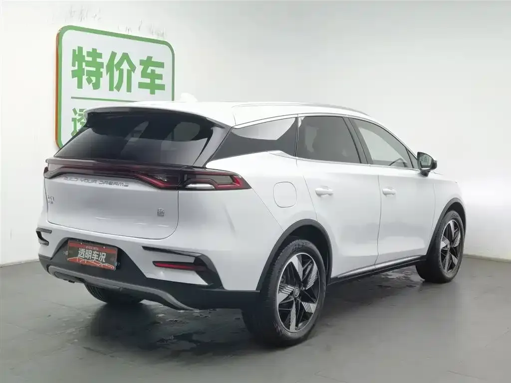 BYD Tang New Energy — фото 10
