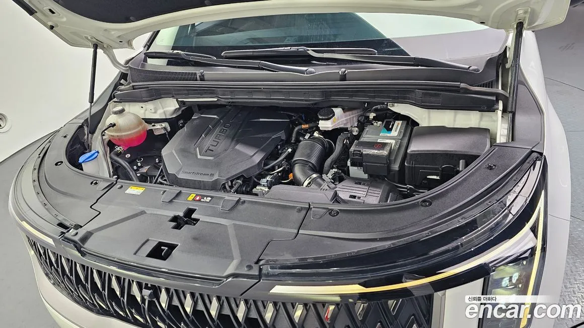 Kia Carnival — фото 10