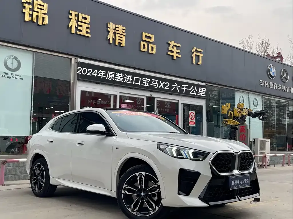 BMW X2 (Import) — фото 1