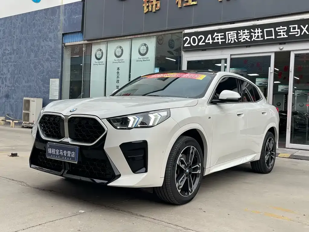 BMW X2 (Import) — фото 8