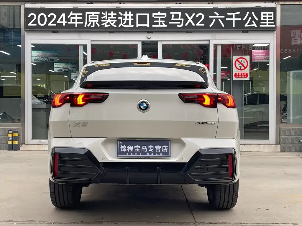 BMW X2 (Import) — фото 9