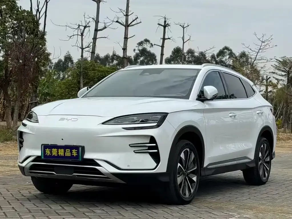 BYD PLUS New Energy — фото 1
