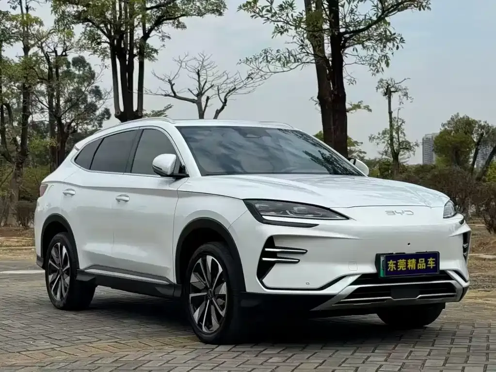 BYD PLUS New Energy — фото 3