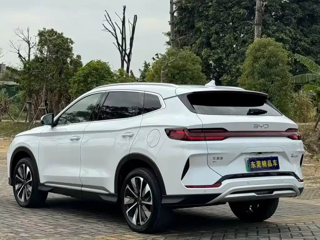 BYD PLUS New Energy — фото 9