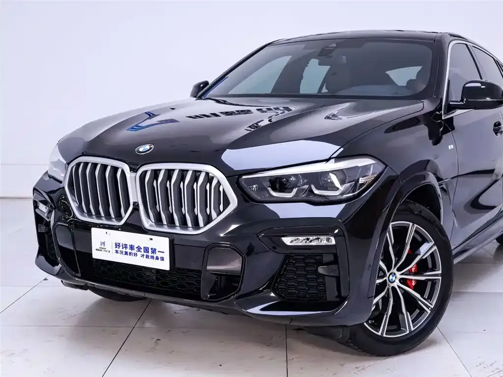 BMW X6 — фото 9