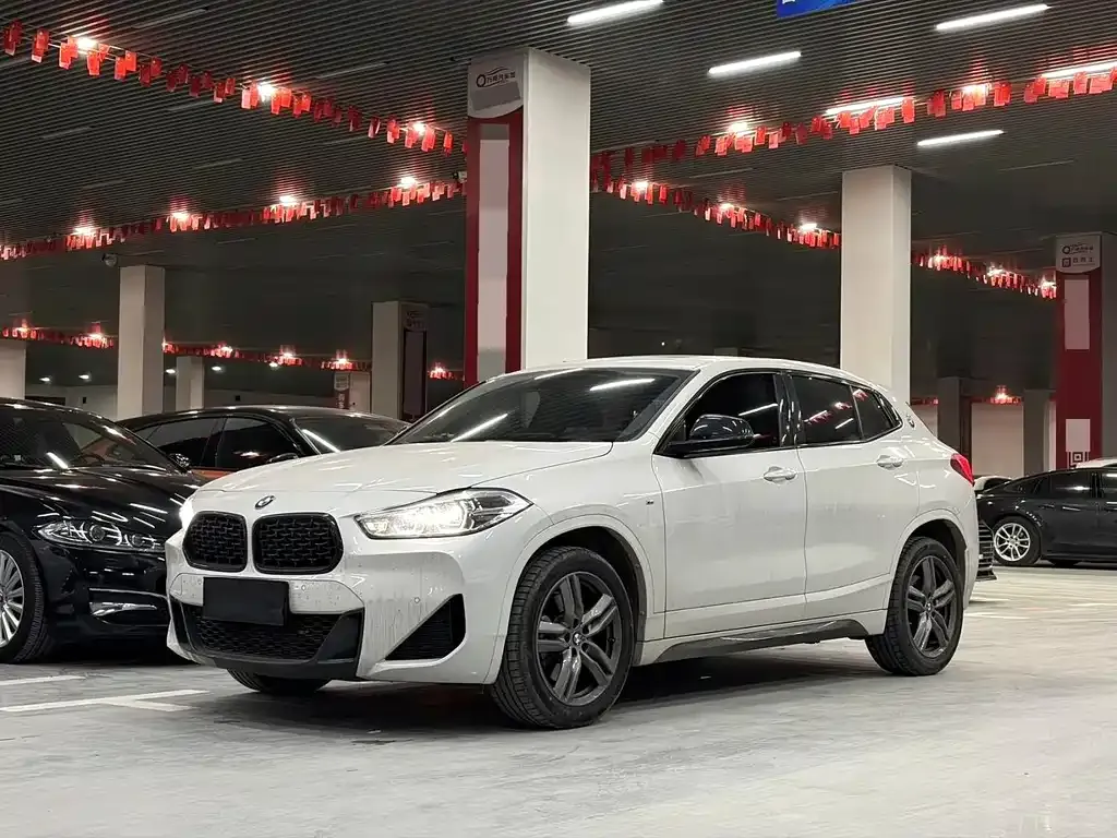 BMW X2 — фото 1