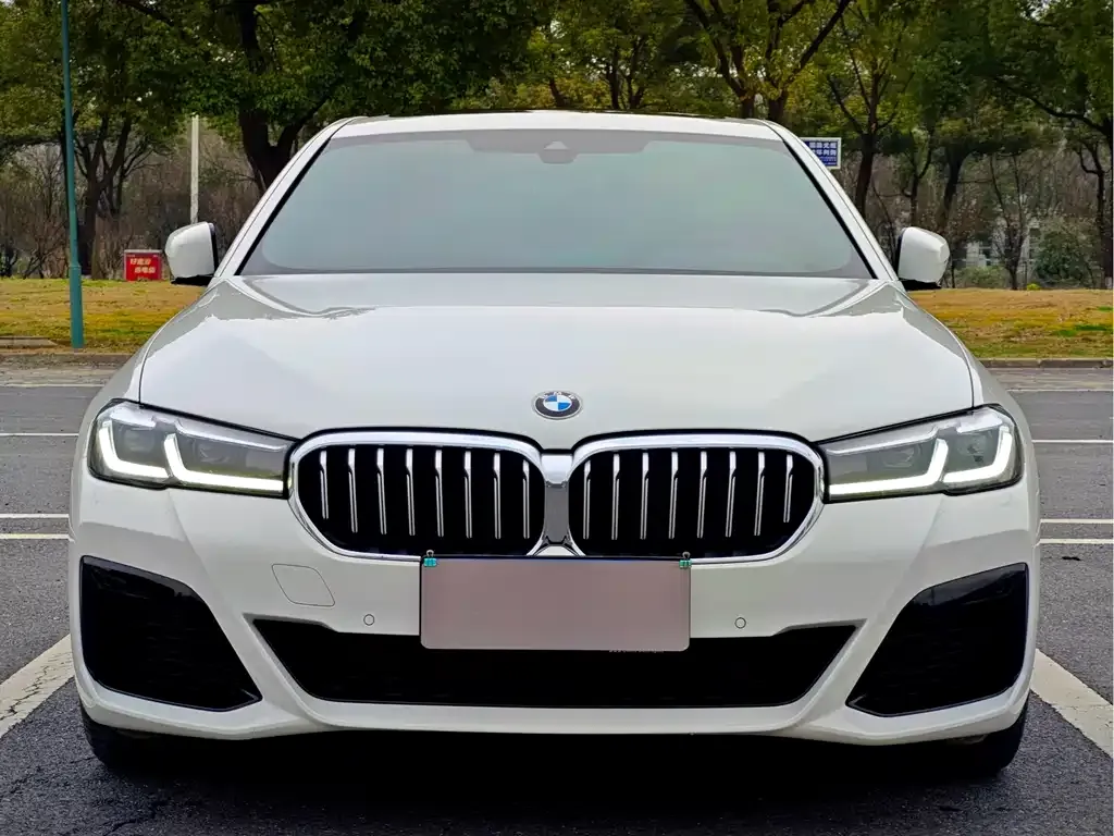 BMW 5 Series (Import) — фото 3