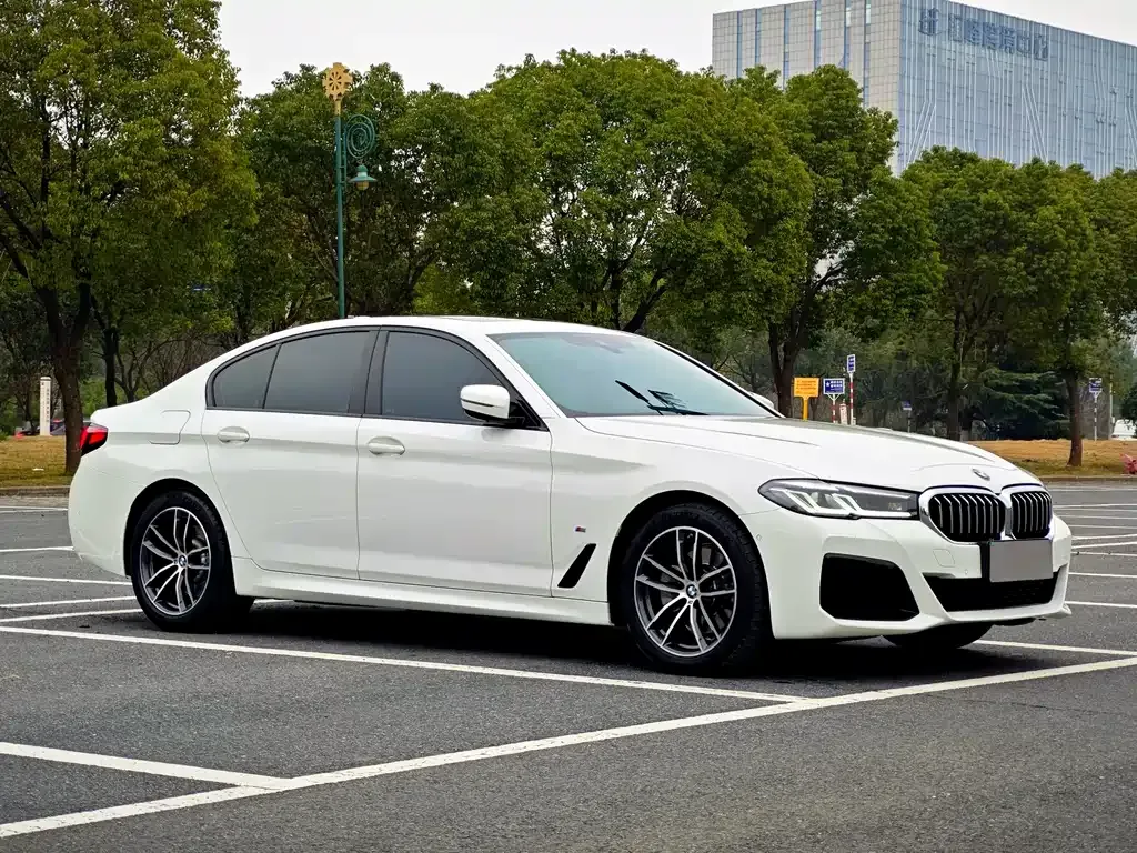 BMW 5 Series (Import) — фото 6